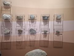 -陕西自然博物馆