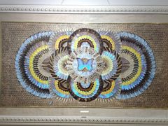 -上海昆虫博物馆