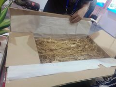 -南宁国际会展中心(会展东博文化旅游区)
