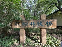 -沈阳植物园