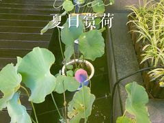 -钱江新城