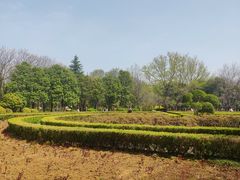 -洛阳市隋唐城遗址植物园