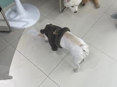 -怪兽屋·羊驼·猫咖·狗咖(俊华广场店)