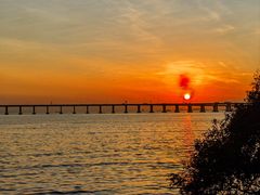 -宝安西湾红树林湿地公园