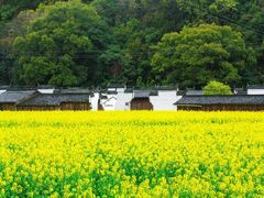 -婺源风景区