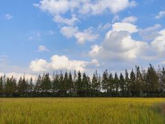 -嘉北郊野公园