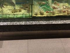 -Isla Sugbu Seafood City