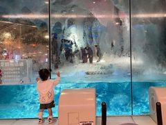 -帝企鹅自助餐厅•儿童岛•真企鹅(长隆企鹅酒店)