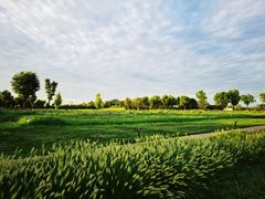 -汉长安城未央宫国家考古遗址公园