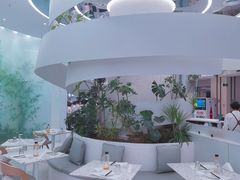 -大树餐厅(朝阳大悦城店)