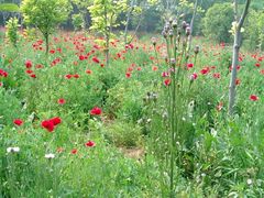 外景-河南省黄河迎宾馆