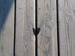 -青岛第三海水浴场