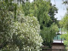 -丝绸小镇荻港古村