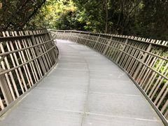 -福道