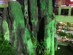 -海南东山羊(南雄店)