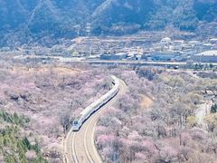 -居庸关长城