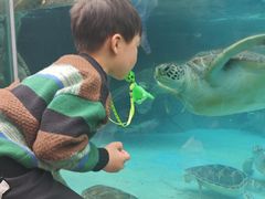 -海合安成都极地海洋公园