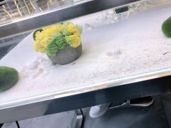 -木北造型