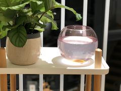 -隹木咖啡馆(宝龙广场店)