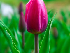 -长春公园(普阳街道)