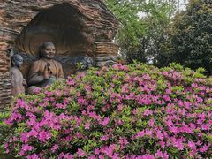 -武汉园博园(武汉自然博物馆)