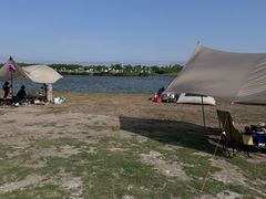 -春花秋色城市公园