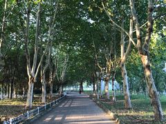 -南京奥林匹克体育中心-体育馆