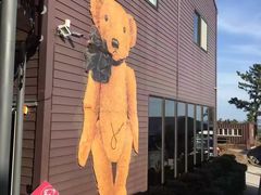 -济州岛泰迪熊博物馆