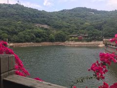 景点-清源山风景区