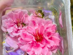 -北京植物园南门售票处