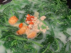 -羽鸽集·乳鸽专门店·地道顺德菜(岭南站店)