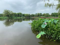 -长兴太湖图影湿地文化园