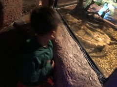 -暹罗海洋世界