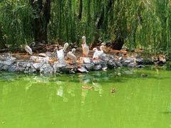 -北京海洋馆
