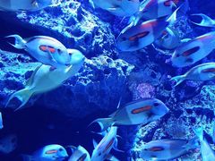 -成都浩海立方海洋公园