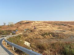 -恋山坝上草原
