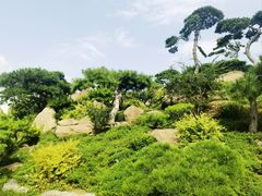 -罗红摄影艺术馆