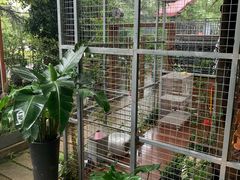 -谷咖啡·鲜花绿植花园餐厅