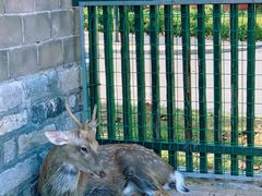 -清风小镇闯关东影视基地