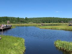 -塞罕坝国家级自然保护区