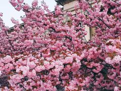 -旅顺博物馆