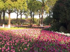 -上海鲜花港