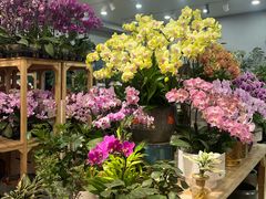 -双季花艺园艺市场(浦东店)