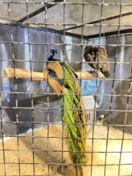 -酷嗒动物文化乐园(cutezoo西溪乐天城店)