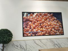 -CoCo都可(万达店)