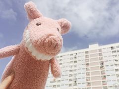 -彩虹村