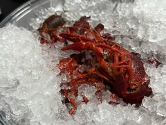 -虾乐园龙虾·夜宵(松江店)