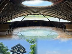 -大湾区中央湿地公园