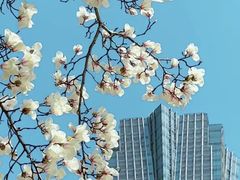 -西湖文化广场