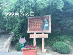 -金龙寺国家森林公园